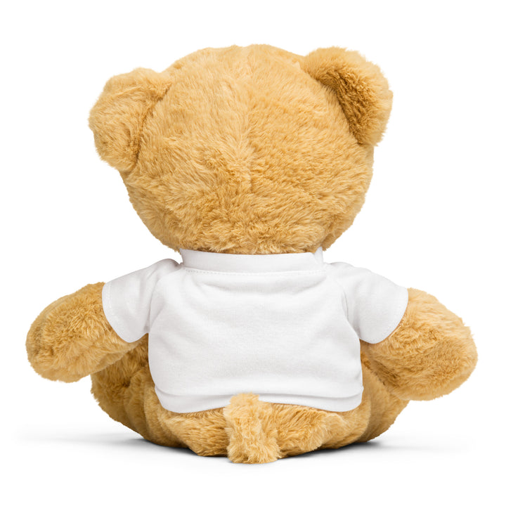 Teddy bear with a Catholics vs. Mormons t-shirt