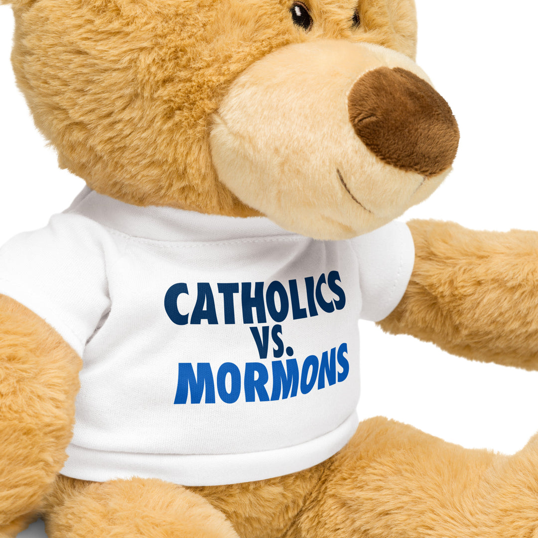 Teddy bear with a Catholics vs. Mormons t-shirt
