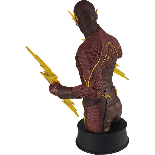 DC Comics The Flash TV Mini Bust – Icon Heroes