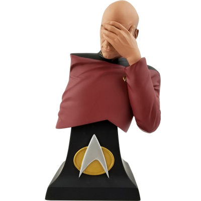 Star Trek The Next Generation Captain Picard Facepalm Bust Paperweight - Previews SDCC Exclusive - Icon Heroes 