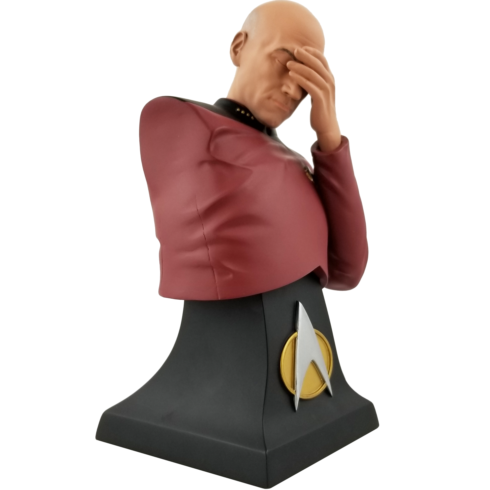 Star Trek The Next Generation Captain Picard Facepalm Bust Paperweight - Previews SDCC Exclusive - Icon Heroes 